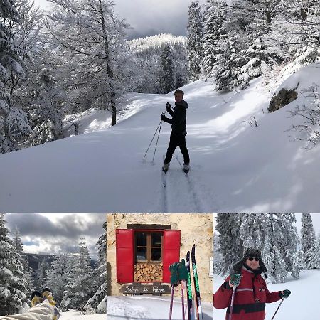 Plenouze Apartment Autrans-Meaudre-en-Vercors Luaran gambar