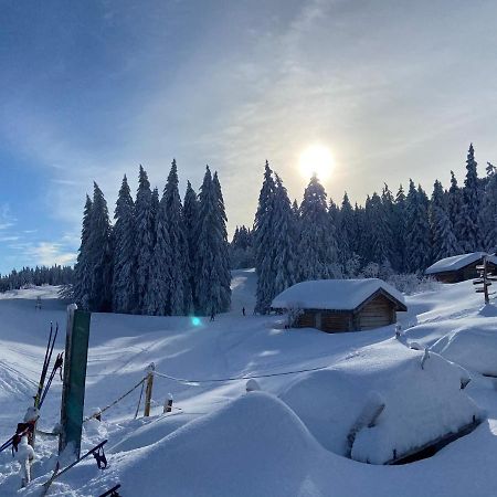 Plenouze Apartment Autrans-Meaudre-en-Vercors Luaran gambar