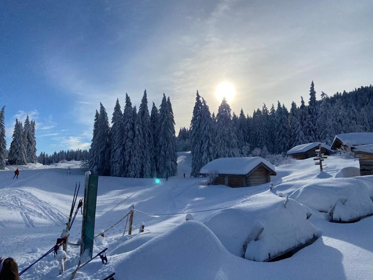 Plenouze Apartment Autrans-Meaudre-en-Vercors Luaran gambar